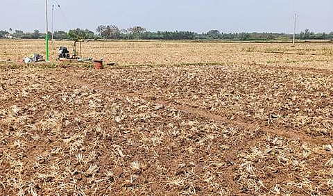 இயற்கை எரிவாயு குழாய் அமைக்கப்பட உள்ள நிலங்கள்.