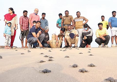 கடலூர் தேவனாம்பட்டினம் கடல் பகுதியில் விடப்பட்ட ஆமைக்குஞ்சுகள்.