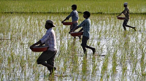 வேளாண் விளைபொருட்களின் ஏற்றுமதி வாய்ப்புகளை வளர்த்தெடுக்க வேண்டும்!