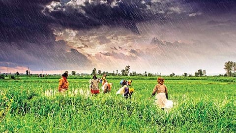 இந்த ஆண்டு தென்மேற்கு பருவமழை இயல்பாக இருக்கும் : இந்திய வானிலை ஆய்வு மையம்