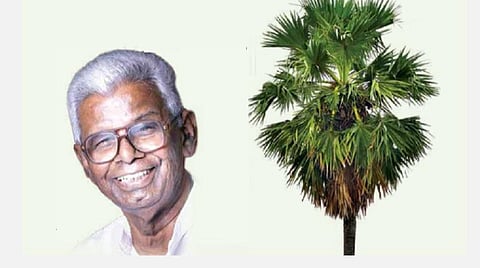 பனையும் மா.அரங்கநாதனும்