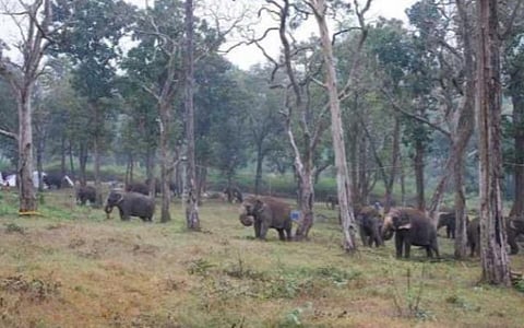 பிரதிநிதித்துவப்படம்.
