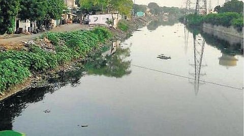 சென்னை மாநகராட்சி அதிகாரிகள், கவுன்சிலர்களுக்கு கொசு ஒழிப்பு முறை குறித்து பயிற்சி அளிக்கப்படுமா?