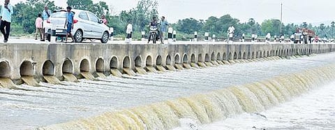 தொடர் கனமழையால், விரிஞ்சிபுரம் பாலாற்றில் நேற்று வெள்ளப்பெருக்கு ஏற்பட்டது. படம்: வி.எம்.மணிநாதன்.
