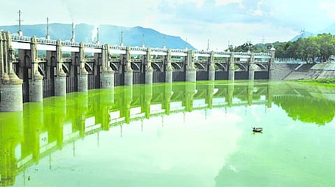 மேட்டூர் அணை திறப்புக்கு முன்பு அரசு உடனடியாக செய்ய வேண்டியவை: தமிழ்நாடு விவசாயிகள் சங்கம் பட்டியல்
