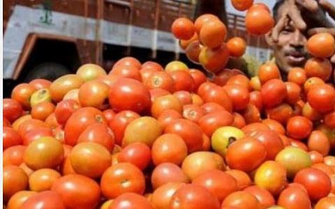 கோயம்பேடு சந்தையில் தக்காளி விலை ரூ.60 ஆக குறைந்தது
