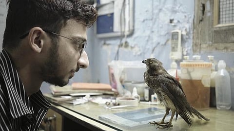 கான் சர்வதேச திரைப்பட விழா: சூழலியல் பிரச்சனைகளைப் பேசும் இந்திய ஆவணப்படத்துக்குக் கிடைத்த தங்கக் கண் விருது