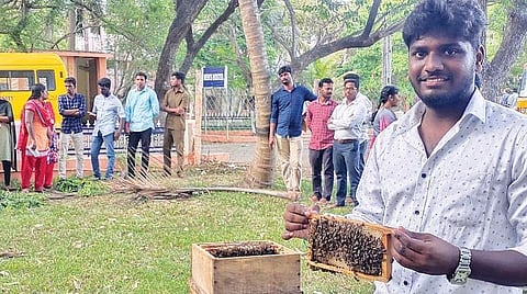 கூட்டுக் குடும்ப வாழ்க்கையின் முன்னோடிகள் தேனீக்கள்