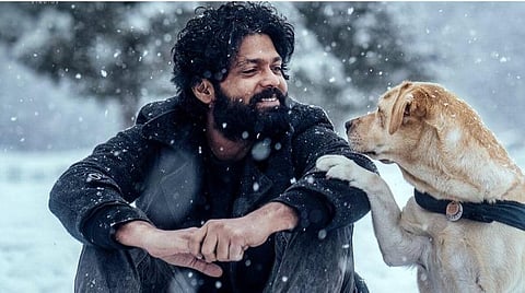 முதல் பார்வை | 777 சார்லி - நெகிழவைக்கும் அன்பை கடத்துவதில் தடுமாறிய படைப்பு