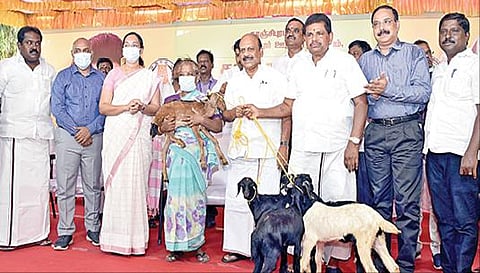 காஞ்சிபும் மாவட்டம் குன்றத்தூர் ஊராட்சி ஒன்றியம் கோவூர் ஊராட்சியில் குறு, சிறு மற்றும் நடுத்தர தொழில் நிறுவனங்கள் துறை அமைச்சர் தா.மோ.அன்பரசன், கால்நடை பராமரிப்பு, மீன் வளம் மற்றும் மீனவர் நலத்துறை அமைச்சர் அனிதா ஆர்.ராதாகிருஷ்ணன் ஆகியோர் பயனாளிகளுக்கு இலவச ஆடுகளை வழங்குகின்றனர். உடன், மாவட்ட ஆட்சியர் மா.ஆர்த்தி.