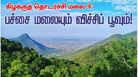 கிழக்குத் தொடர்ச்சி மலை 4: பச்சை மலையும் விச்சிப் பூவும்!