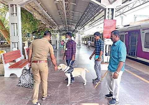 தாம்பரம் ரயில் நிலையத்துக்கு வெடிகுண்டு மிரட்டல் வந்ததையடுத்து ரயில்வே போலீஸார் மோப்ப நாயுடன் வந்து நடைமேடை, பயணிகளின் உடைமை, ரயில் பெட்டிகள் உள்ளிட்டவற்றில் சோதனை செய்தனர்.படம்:எம்.முத்துகணேஷ்