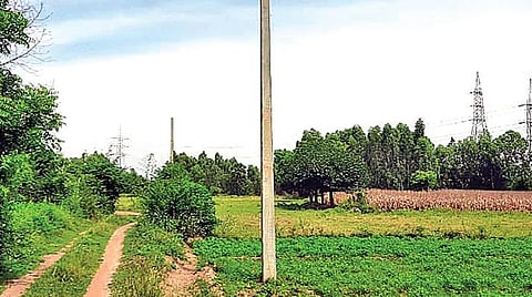 விவசாய மின் இணைப்பு வழங்குவதில் சிக்கல்: 6 மாதங்களாக காட்சிப் பொருளாக நிற்கும் மின்கம்பங்கள் - விவசாயிகள் வேதனை