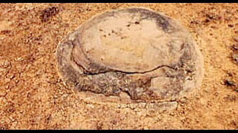 காரை கிராமத்தில் அகழாய்வு மேற்கொள்ள மத்திய, மாநில அரசுகளுக்கு ஆய்வாளர்கள் வலியுறுத்தல்