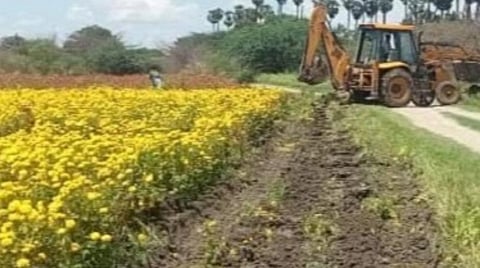 திருவண்ணாமலை அடுத்த மங்கலம் கிராமத்தில் பொக்லைன் இயந்திரம் மூலம் ஆக்கிரமிப்பு அகற்றப்பட்டன