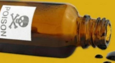 பிரதிநிதித்துவப் படம்