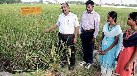 கோப்புப் படம்