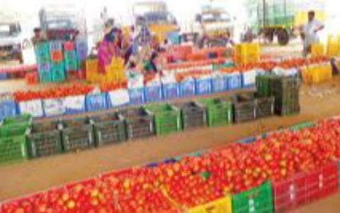 கிருஷ்ணகிரி மாவட்டம் ராயக்கோட்டை சந்தையில் வெளி மாநிலங்கள், மாவட்டங் களுக்கு ஏற்றுமதிக்காக அடுக்கி வைக்கப்பட்டுள்ள தக்காளி பழங்கள்.