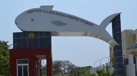 நாகை மீன்வள பல்கலை.யில் சேர மே 15 முதல் விண்ணப்பிக்கலாம்