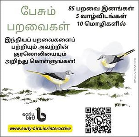 பறவைகளின் உலகுக்குள் ஊர்வலம் போவோமா!
