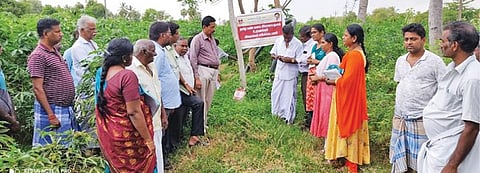 குறிஞ்சிப்பாடி வட்டாரம் கஞ்சமநாதன்பேட்டையில், தமிழ் மண் வளம் இணைய தளம் உருவாக்குவதற்காக வயல் அளவில் வேளாண் அதிகாரிகள் விவரங்கள் சேகரித்தளர்,