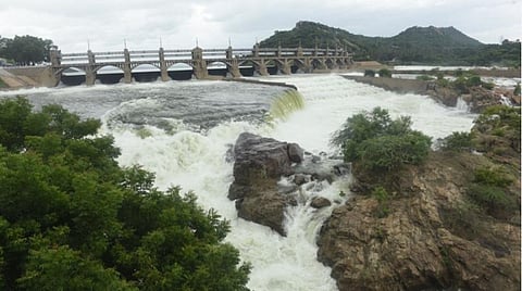 படம்: எஸ்.குரு பிரசாத்