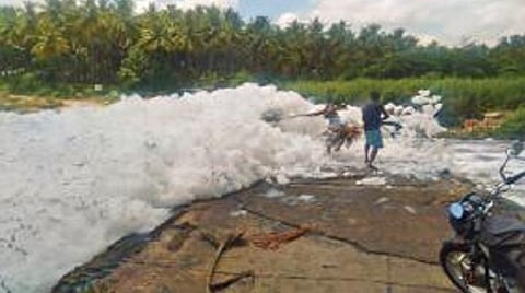 சேலம் உத்தமசோழபுரம் பகுதியில் உள்ள ஆத்துக்காடு அருகே தரைப்பாலத்தை மூழ்கடித்தவாறு திருமணி முத்தாற்றில் நுரை பொங்கிச் சென்றது. இதனால் போக்குவரத்துக்கு இடையூறு ஏற்பட்டதால் நுரையை அகற்ற முயற்சித்த இளைஞர்கள்.