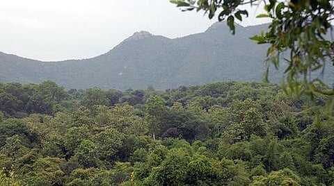 வனக் குற்றங்கள் விசாரணை: தொழில்நுட்ப உதவிகளை வழங்க தடயவியல் ஆய்வகத்துக்கு உயர் நீதிமன்றம் உத்தரவு