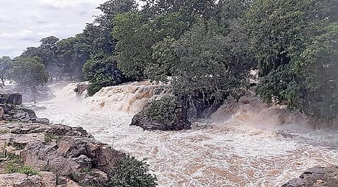 தருமபுரி மாவட்டம் ஒகேனக்கல்லில் நேற்று பகலில் பிரதான அருவி பகுதியை மூழ்கடித்தபடி ஆர்ப்பரித்து ஓடிய தண்ணீர்.