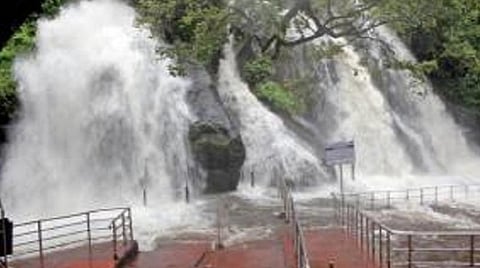 மேற்கு தொடர்ச்சி மலையில் பெய்த மழை காரணமாக குற்றாலம் ஐந்தருவியில் வெள்ளம் கொட்டியது. குளிக்க தடை விதிக்கப்பட்டதால் வெறிச்சோடி காணப்பட்டது.