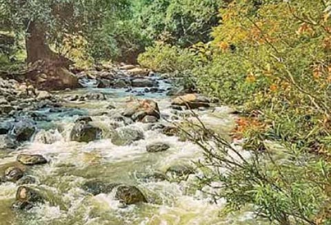 ‘சுற்றுலா பயணிகள் குளித்து மகிழலாம்’ - புளியஞ்சோலையில் ரூ.4.75 கோடியில் படுகை அணை