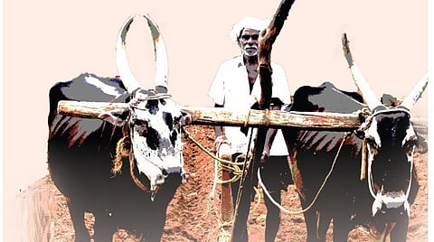 இந்தியா 75 - நெருக்கடிகளை மீறித் தொடரும் உழவர்களின் சேவை