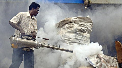 சென்னையில் கொசுத் தொல்லை அதிகரிப்பு: கொசு ஒழிப்புப் பணியில் மாநகராட்சியில் நடப்பது என்ன?