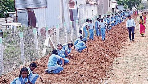 பல்லடம் அருகே பணிக்கம்பட்டி பகுதியில் பனை விதைகளை விதைத்த பள்ளி மாணவர்கள்.