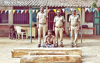 திருப்பத்தூர் அருகே தேக்குமரத்தை வெட்டி கடத்த முயன்றதாக வனத்துறையினரால் கைது செய்யப்பட்ட காமராஜ்.