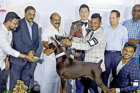 ‘தி மெட்ராஸ் கெனைன் கிளப்’ சார்பில் சென்னையில் நடைபெற்ற நாய்கள் கண்காட்சியில், சிறந்த நாய்களின் உரிமையாளர்களுக்கு நேற்று பரிசு வழங்கினார் அமைச்சர் தா.மோ.அன்பரசன். உடன், கிளப் தலைவர் சி.வி.சுதர்சன், புரவலரும், கண்காட்சித் தலைவருமான `இந்து' என்.ராம் உள்ளிட்டோர். படம்: பு.க.பிரவீன்