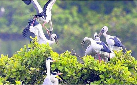 வேடந்தாங்கல் சரணாலயத்தில் உள்ள பறவைகள் காட்சி அரங்கம் நவீனமாகுமா? - சுற்றுலா பயணிகள் எதிர்பார்ப்பு
