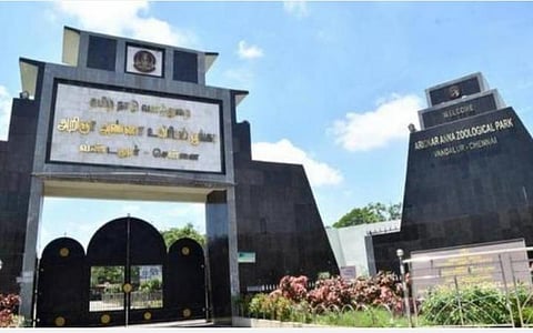 உலக காண்டாமிருக நாள் கொண்டாட்டம்: வண்டலூர் உயிரியல் பூங்காவில் ஐஓசி சார்பில் நடைபெற்றது