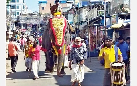 கன்னியாகுமரி பகவதியம்மன் கோயிலில் நவராத்திரி விழாவை முன்னிட்டு அம்மனுக்கு அபிஷேகத்துக்கான புனிதநீர் யானை மீது வைத்து ஊர்வலமாக கொண்டு வரப்பட்டது.
