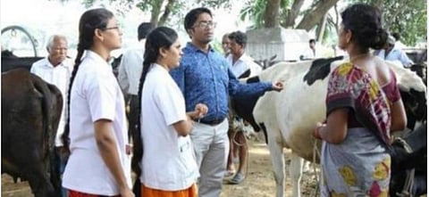 கால்நடை மருத்துவ படிப்பு விண்ணப்பம் - திருத்தம் செய்ய கால அவகாசம்