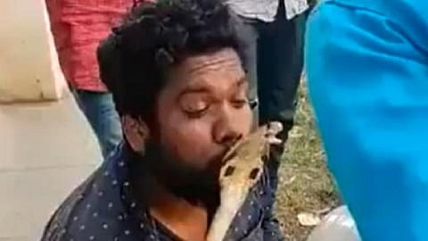 பாம்பை பிடித்தபோது நேர்ந்த விபரீதம்