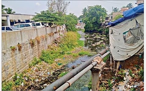ஆக்கிரமிப்புகளுக்கு மத்தியில் கழிவுகளுடன் கூடிய சாக்கடையாய் ஓடும் கோபி கீரிப்பள்ளம் ஓடை