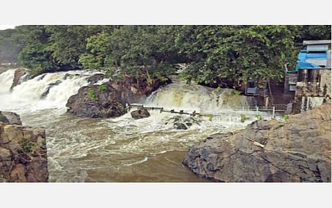 காவிரி நீர்ப்பிடிப்புப் பகுதிகளில் பெய்த மழையால், ஒகேனக்கல் அருவிகளில் ஆர்ப்பரித்து கொட்டும் தண்ணீர்.