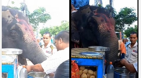 அசாம் | சாலையோர தள்ளுவண்டி கடையில் பானிபூரி சாப்பிடும் யானை