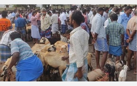 தீபாவளி | எட்டயபுரம் சந்தையில் ரூ.6 கோடிக்கு ஆடுகள் விற்பனை