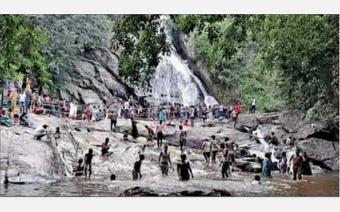 உடுமலை, பொள்ளாச்சி பகுதிகளில் விடுமுறையால் களைகட்டிய சுற்றுலா தலங்கள்
