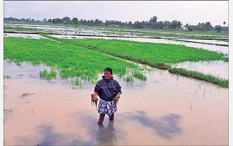 மழையால் கடலூர் மாவட்டத்தில் நேற்று பள்ளி, கல்லூரிகளுக்கு மாவட்ட நிர்வாகம் விடுமுறை அறிவித்திருந்த நிலையில், அதை மீறி விருத்தாசலத்தில் செயல்பட்ட பள்ளிக்குச் செல்லும் மாணவர்கள்