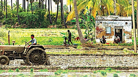 குத்தகை உழவர்களைக் காப்பது யார்?