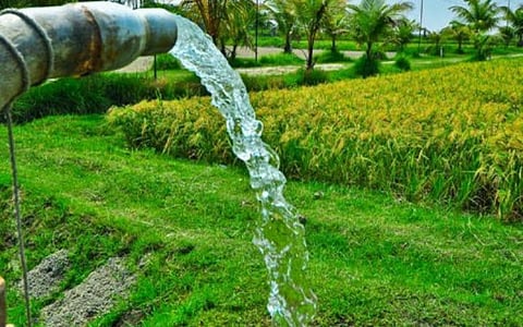 50,000 விவசாயிகளுக்கு இலவச மின் இணைப்பு வழங்கும் திட்டம்: அரவக்குறிச்சியில் ஸ்டாலின் நாளை தொடங்கி வைக்கிறார்