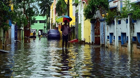 படம்: எம்.சாம்ராஜ்